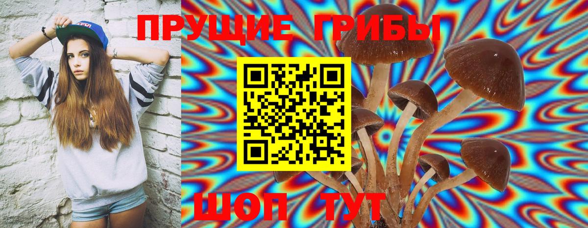 Галлюциногенные грибы мухоморы Заречный